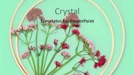  Presentation with border flower - PPT layouts enhanced with valerian-herb-flower-plant-background background and a  colored foreground