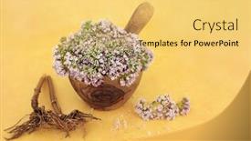  Presentation with symptoms - Amazing slides having valerian-herb-flowers backdrop and a yellow colored foreground