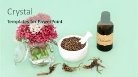  Presentation with root plant - Slide deck consisting of valerian-herb-root-plant-medicine background and a cool aqua colored foreground