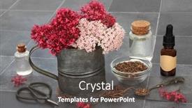  Presentation with root plant - Slide deck consisting of valerian-herb-root-with-flowers background and a dark gray colored foreground