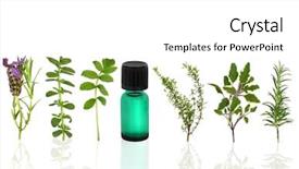  Presentation with aromatherapy oil - PPT theme having valium - herb and flower leaf selection background and a white colored foreground