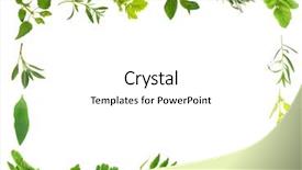  Presentation with herb - Amazing presentation theme having valium - herb leaf selection forming backdrop and a white colored foreground