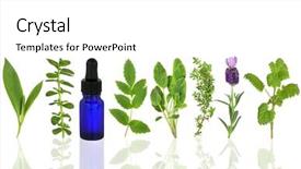  Presentation with aromatherapy oil - Presentation theme with valium - herb leaf selection of comfrey background and a white colored foreground
