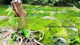  Presentation with fertility - Presentation having valley-of-a-thousand-lingas background and a yellow colored foreground