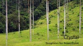  Presentation with alpine - Cool new slide set with valley salento colombia south america backdrop and a gold colored foreground