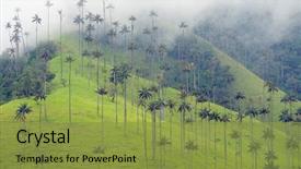  Presentation with alpine - Presentation design enhanced with valley salento colombia south america background and a gold colored foreground