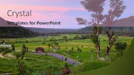  Presentation with rice fields - 