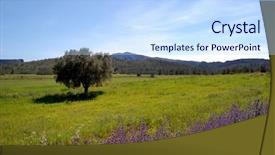  Presentation with olive tree - Presentation having valleys hills - spring in spain field view background and a  colored foreground