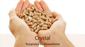  Presentation with engineering - PPT theme with value engineering - two female hands holding many background and a coral colored foreground