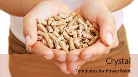  Presentation with hands holding - Cool new slide deck with creation ideas light bulb imagination backdrop and a light gray colored foreground