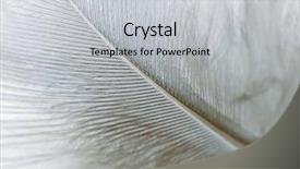  Presentation with feather - Amazing presentation having vanets - high magnification down feather back backdrop and a light gray colored foreground