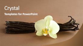  Presentation with beans - Presentation theme having vanilla beans background and a coral colored foreground