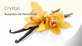  Presentation with vanilla - Presentation design enhanced with vanilla-flower-and-pods-close background and a cream colored foreground