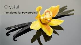  Presentation with vanilla - PPT theme featuring vanilla-flower-and-pods-close background and a yellow colored foreground