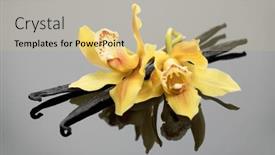  Presentation with vanilla - PPT theme enhanced with vanilla-flowers-and-pods-close background and a soft green colored foreground