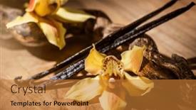  Presentation with vanilla - PPT theme enhanced with vanilla-flowers-and-pods-close background and a  colored foreground