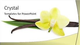  Presentation with dried vanilla pods and flowers - Amazing slide deck having vanilla pods and flower isolated backdrop and a white colored foreground