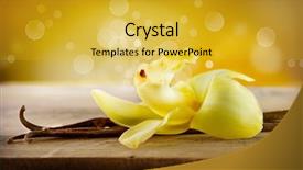  Presentation with wooden stick - Slides having vanilla pods and flower background and a yellow colored foreground