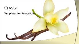  Presentation with vanilla - Theme with vanilla pods and flower background and a white colored foreground
