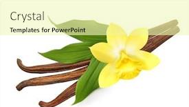  Presentation with vanilla - Cool new slide deck with vanilla-pods-and-orchid-flower backdrop and a blonde colored foreground