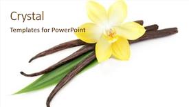  Presentation with vanilla - Slides with vanilla pods and orchid flower background and a cream colored foreground