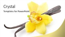  Presentation with vanilla - Amazing PPT theme having vanilla pods and orchid flower backdrop and a white colored foreground