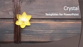  Presentation with dried vanilla pods and flowers - Presentation theme consisting of vanilla pods and orchid flower background and a gray colored foreground