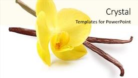  Presentation with dried vanilla pods and flowers - Amazing theme having vanilla pods and orchid flower backdrop and a  colored foreground