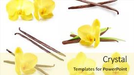  Presentation with vanilla - Theme enhanced with vanilla pods and orchid flower background and a blonde colored foreground