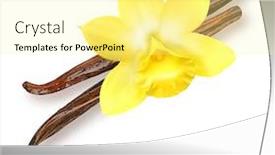  Presentation with vanilla - Colorful theme enhanced with vanilla-pods-and-orchid-flowers backdrop and a blonde colored foreground