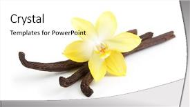  Presentation with vanilla - Slide set having vanilla pods and orchid flowers background and a white colored foreground