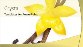  Presentation with orchid - Presentation design consisting of vanilla-pods-and-orchid-flowers background and a yellow colored foreground