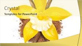  Presentation with vanilla - Amazing slide set having vanilla-pods-and-orchid-flowers backdrop and a yellow colored foreground