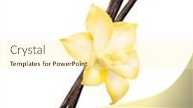  Presentation with vanilla - Amazing PPT theme having vanilla-pods-and-orchid-flowers backdrop and a cream colored foreground