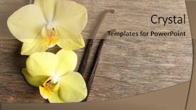  Presentation with vanilla - Presentation theme having mature cannabis female plant buds under led lighting background and a wine colored foreground