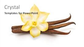  Presentation with vanilla - Audience pleasing slide deck consisting of vanilla-pods-isolated-dried-vanilla backdrop and a white colored foreground