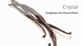  Presentation with vanilla - Audience pleasing PPT theme consisting of vanilla-pods-isolated-on-white backdrop and a cream colored foreground
