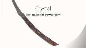  Presentation with vanilla - PPT theme enhanced with vanilla-pods-isolated-on-white background and a cream colored foreground