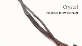  Presentation with vanilla - Cool new presentation theme with vanilla-pods-isolated-on-white backdrop and a pink colored foreground