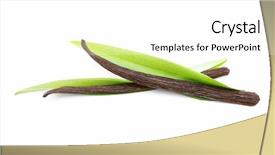  Presentation with vanilla - Colorful presentation theme enhanced with vanilla pods isolated on white background backdrop and a white colored foreground