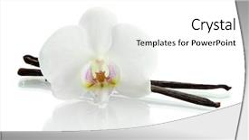  Presentation with vanilla - Presentation theme having vanilla pods with flower isolated background and a white colored foreground