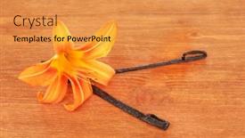  Presentation with vanilla - 