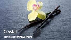  Presentation with vanilla - Slide set with vanilla stick with orchid background and a ocean colored foreground