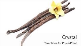  Presentation with vanilla - PPT theme featuring vanilla sticks and flower background and a white colored foreground