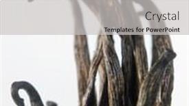  Presentation with vanilla - Amazing slide deck having vanilla-sticks-on-white-isolated backdrop and a light gray colored foreground