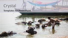  Presentation with varanasi - 