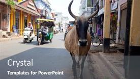  Presentation with varanasi - 