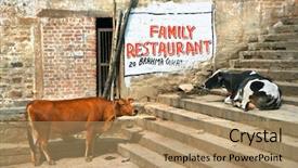  Presentation with food city - Audience pleasing PPT layouts consisting of varanasi uttar pradesh india backdrop and a coral colored foreground