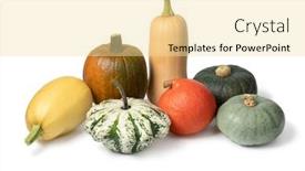  Presentation with autumn - Presentation theme enhanced with variation-of-edible-autumn-pumpkins background and a blonde colored foreground