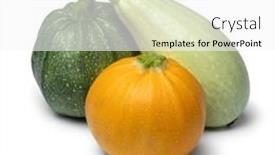  Presentation with language variation - Presentation design consisting of variation-of-fresh-homegrown-zucchini background and a white colored foreground